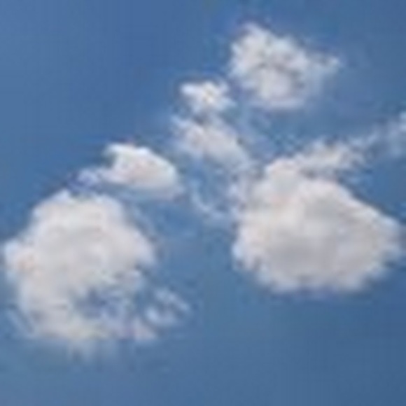 Meet your Posher, Phadrien - Picture 1 of 1